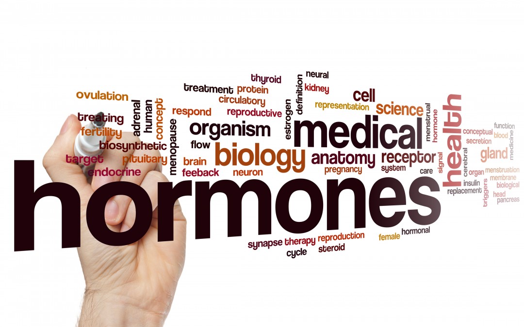 What are Bioidentical Hormones?