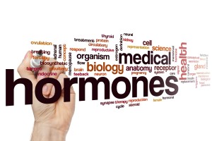 bioidentical hormones Charlotte