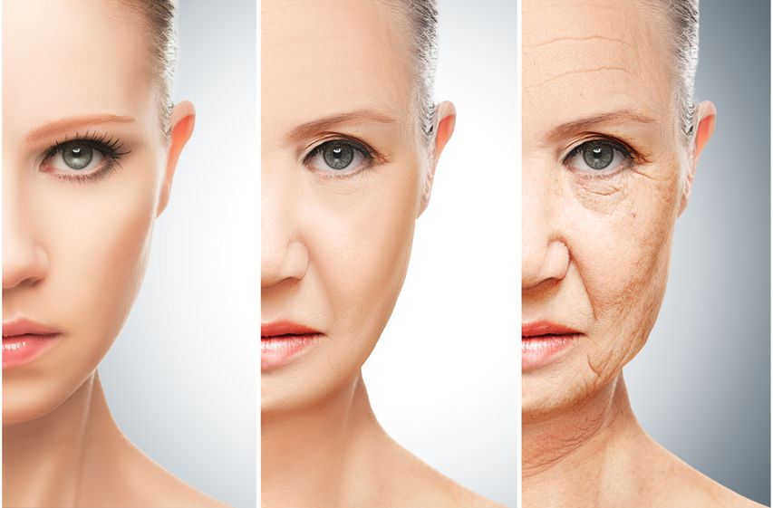 Woman's face showing stages of aging from young to older.